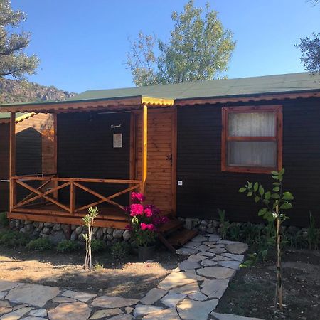 Suzi'Nin Bahcesi Bungalov Evler Datça Luaran gambar