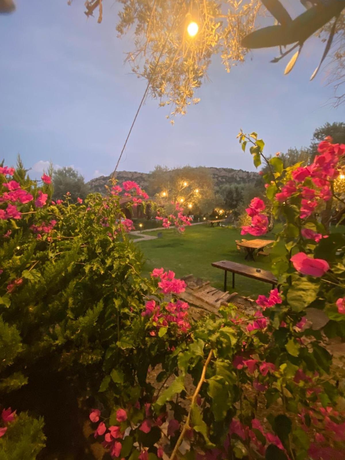 Suzi'Nin Bahcesi Bungalov Evler Datça Luaran gambar