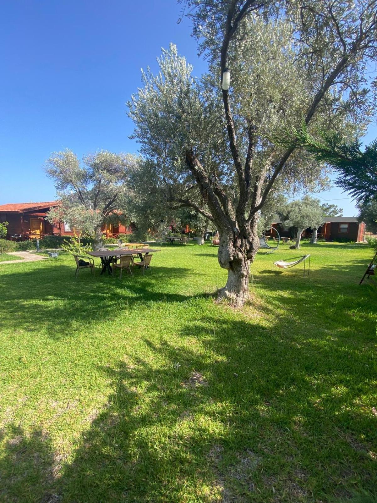 Suzi'Nin Bahcesi Bungalov Evler Datça Luaran gambar