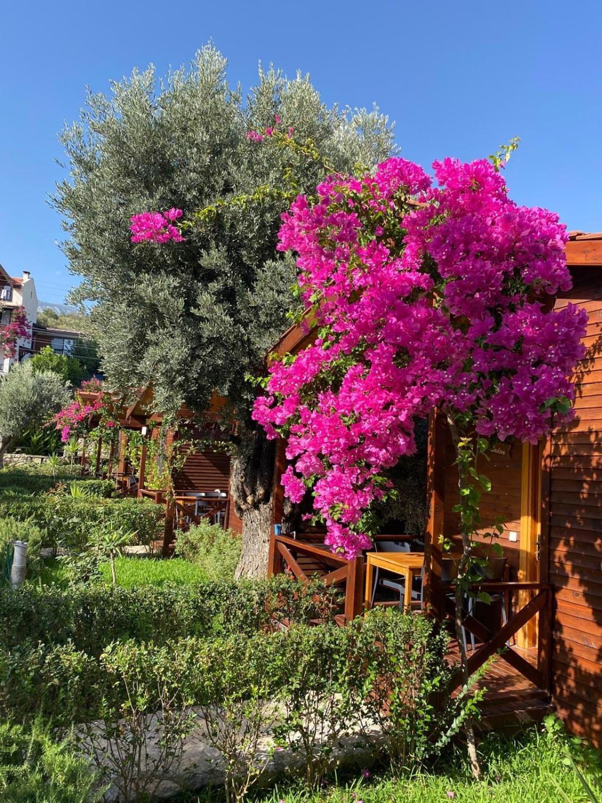 Suzi'Nin Bahcesi Bungalov Evler Datça Luaran gambar